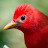 Avatar photo