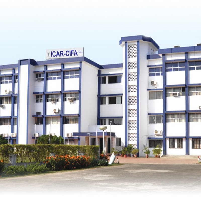 CIFA