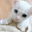 @테라피스트-j3j