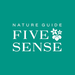 上高地ネイチャーガイド ファイブセンスアイコン画像