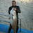 Nuno Xavier Spearfishing