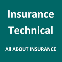 Insurance Technical net worth