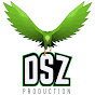 DSZ Production logo