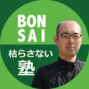 4代目の盆栽枯らさない塾