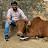 @vineetkarlekar
