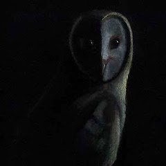 Blackowl1977