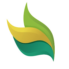 צבעים הפקות - Tzvaim Productions net worth