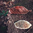 VGo3bpDp4pM-channel-avatar-majerovskyduch
