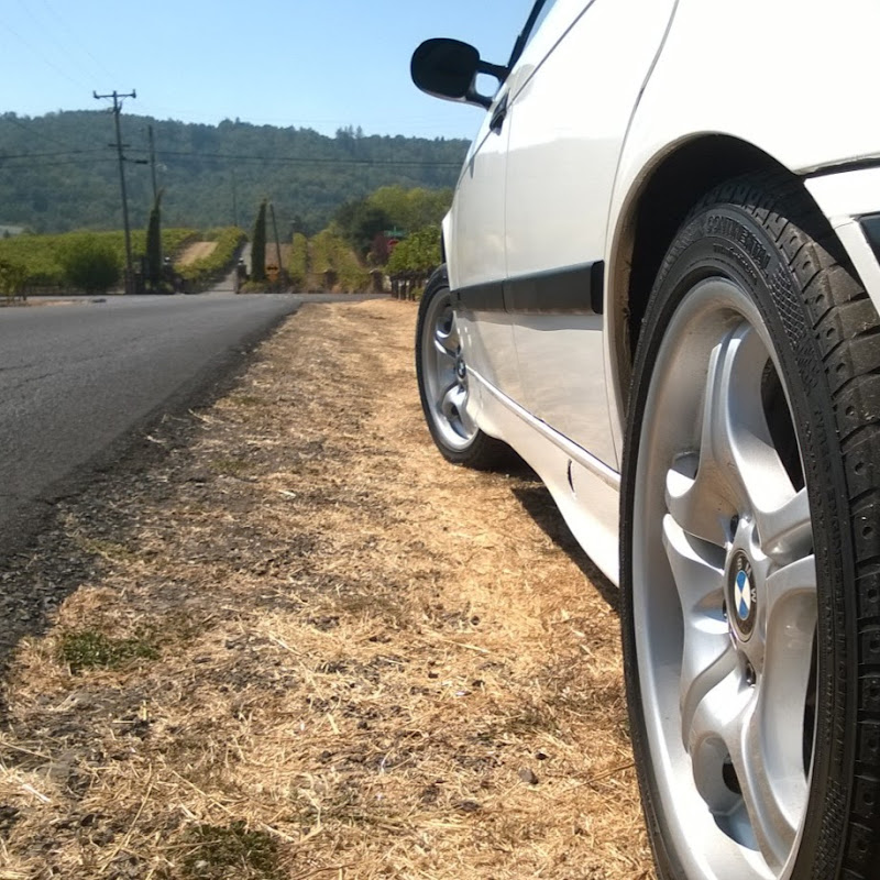 Vines and Vehicles