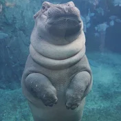 おかば