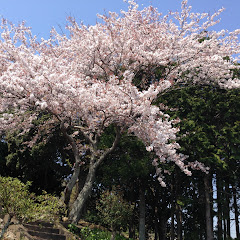 tyoro