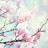 @SuperElmo111's avatar