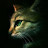 avatar of @kellymcclure2166