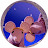 @richalbin's avatar