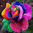 @sirisiri2996 Avatar