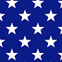 Patriotic Source logo