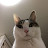 @user-gi4cz1px1q