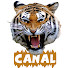 LwgGRGmFmlA-channel-avatar-Tigre Canal