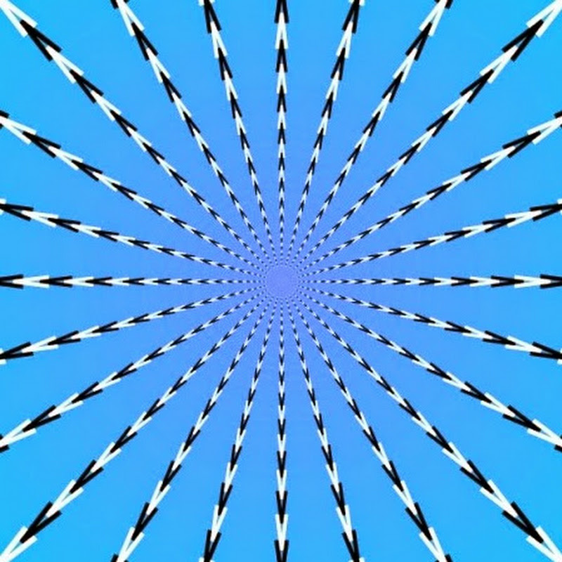 Zakaos Breedlove Ewing