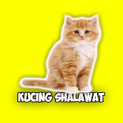 Kucing Shalawat