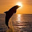 @imadjamal313 Avatar