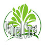 Natural Cures logo