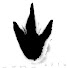 WR2hCeC0KWE-channel-avatar-Aztarna Musika Eragintza