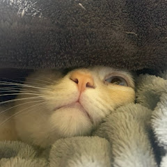 天野滉瑛
