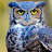 @jessepalacios7252's avatar