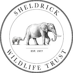 Sheldrick Trust