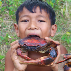 Survival Wild