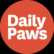 Daily Paws