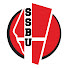 hsl03HJ_LTU-channel-avatar-Super Smash Bros University