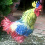 cesarcamacho3842