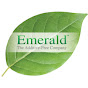 Emerald Labs logo