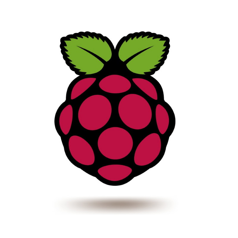 Raspberry Pi Shorts