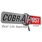 Cobrapost logo