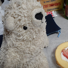 洛南ジャーナル どうが部