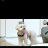 @chena_hyojinchoi9742