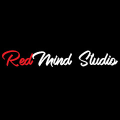 RedMind Studio net worth
