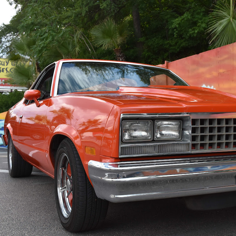 El Camino Kyle