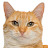 @meongman99's avatar