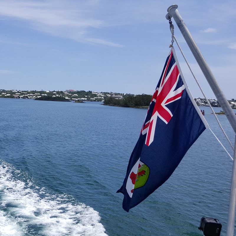 Enter Bermuda