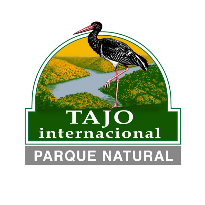 Tajo Internacional logo