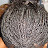 @TheIdeabaker's avatar