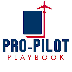 Pro-Pilot Playbook net worth