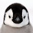 @user-vq5uu7vw2e