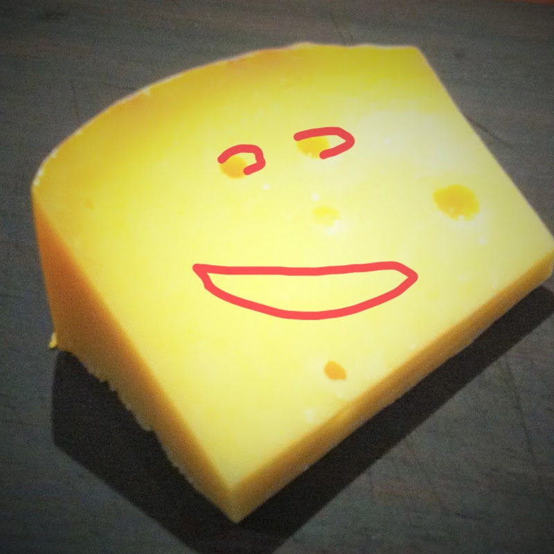 Fuzzy Cheese