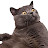 @thealmightycommenter's avatar