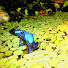 EKRysP0iuks-channel-avatar-Marc`s TerraWelt